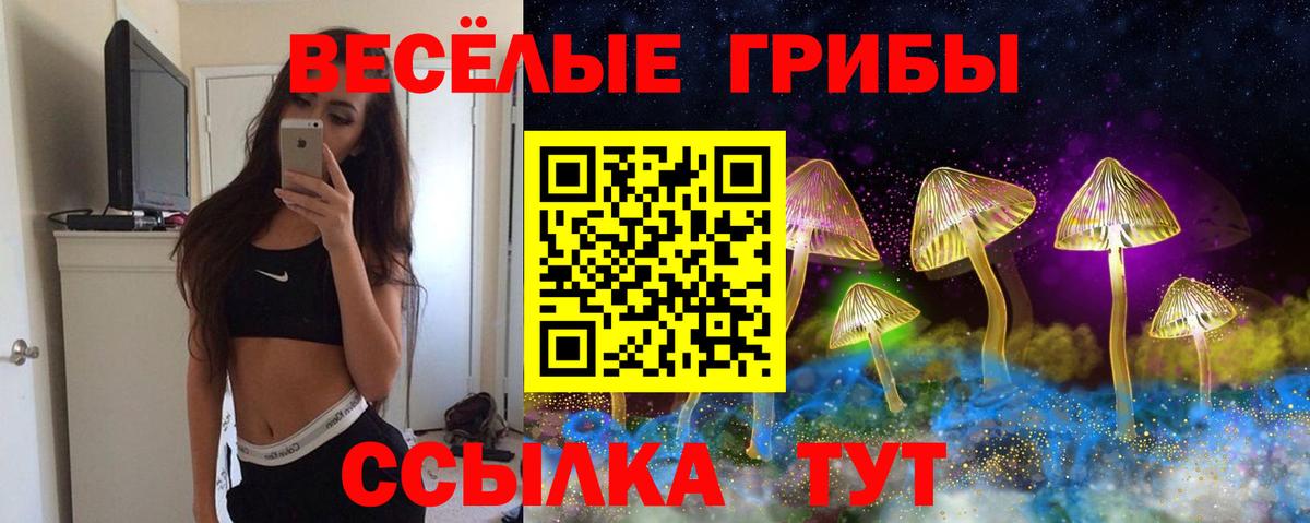 Псилоцибиновые грибы Cubensis  Вход с VPN  где продают   Краснодар  Галлюциногенные грибы мухоморы 