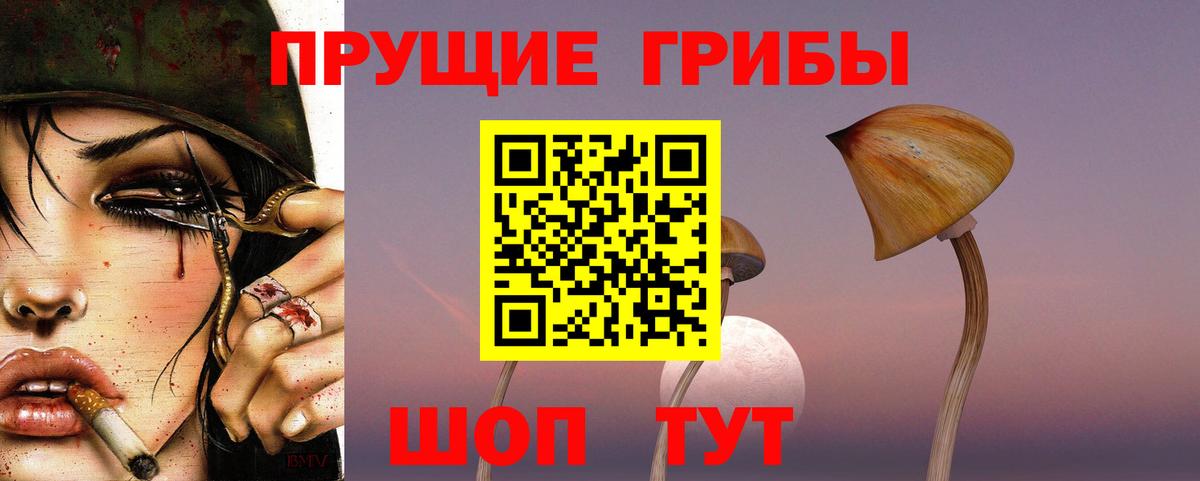 Галлюциногенные грибы Psilocybe Краснодар